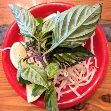 A plate of herbs used to top beef noodle soup